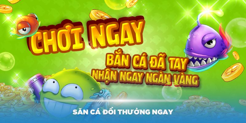 Lý do bạn nên săn cá đổi thưởng ngay